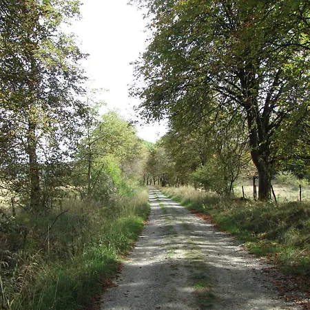 Hugo37 Am Bergpark 카셀